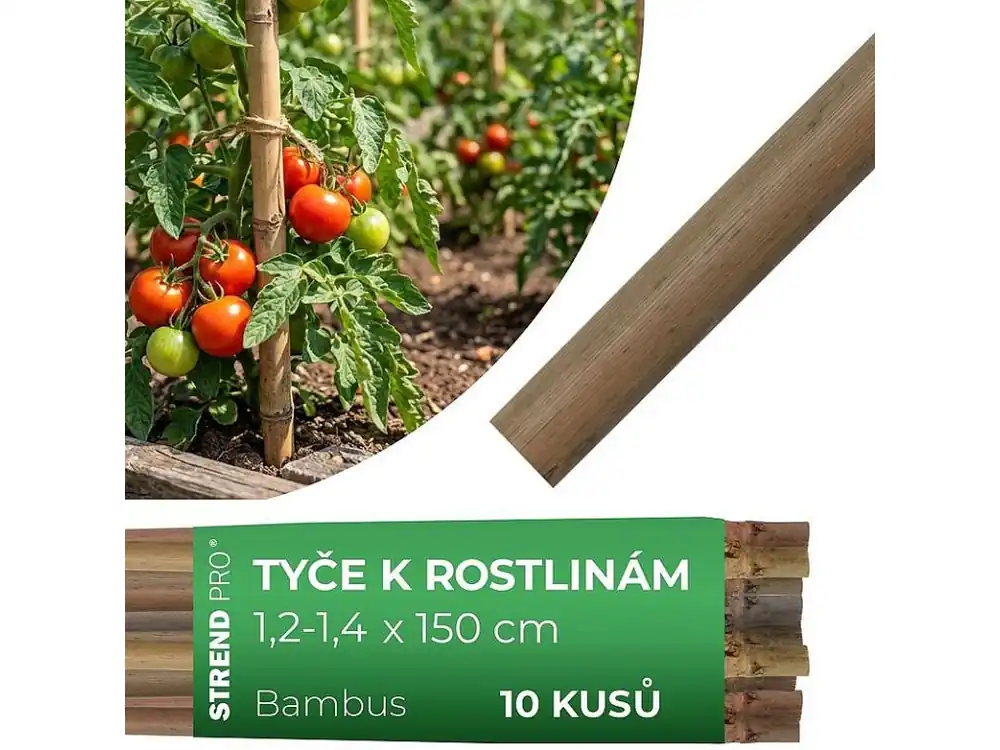 Tyč bambusová Garden KBT 1500/12-14mm, 10ks Odeslání Ihned