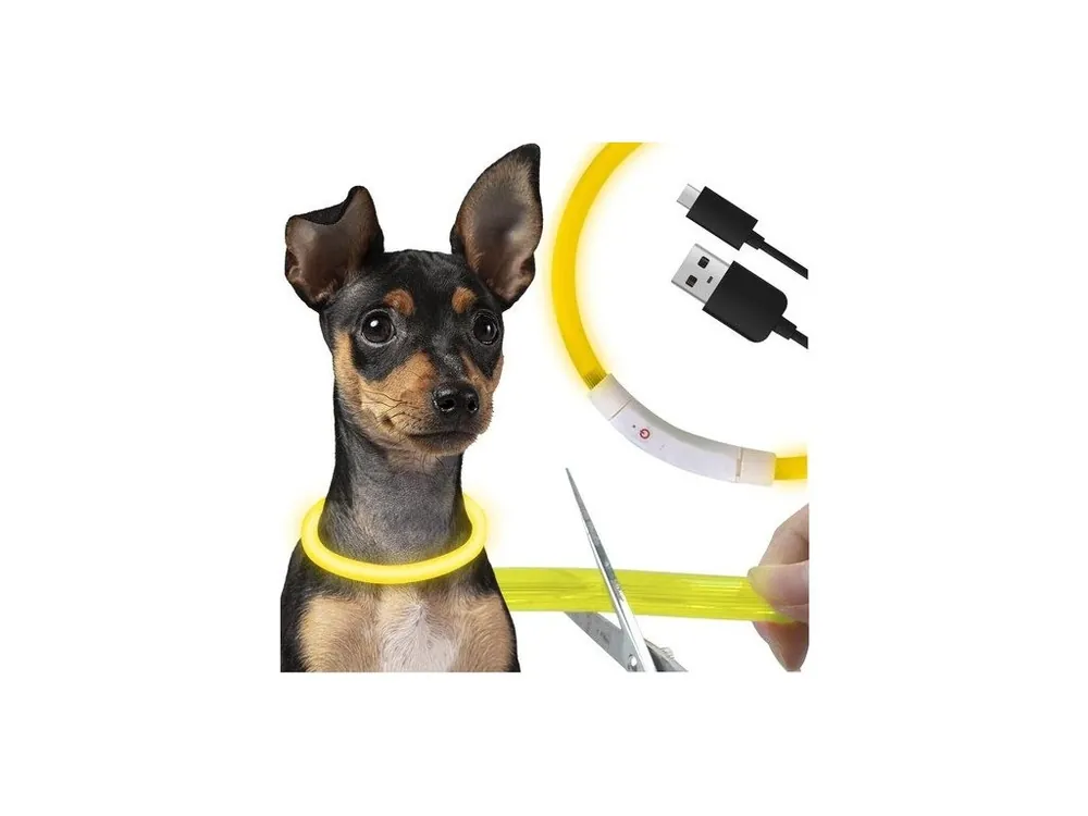 Cenově Výhodný Svíticí obojek pro psy LED Purlov 24200, regulovatelný, nabíjecí USB-C