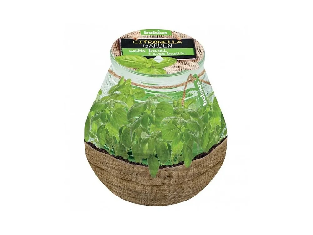 Novinka Svíčka bolsius Teracce Citronella, 94/91mm, bazalka