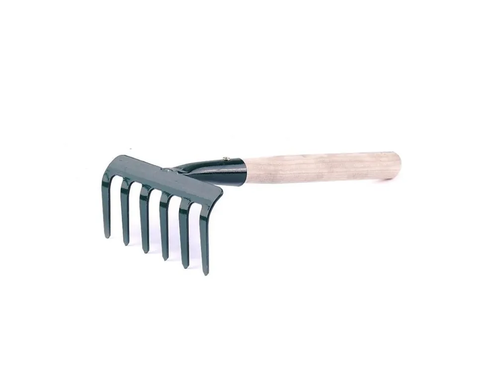 Akční Nabídka Hrabičky s násadou, 100cm, 6zubů