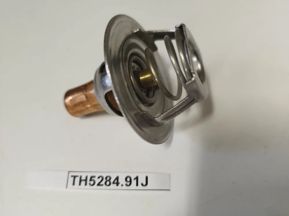 Termostat Renault 19,Clio,Express,Rapid Vrácení Zdarma